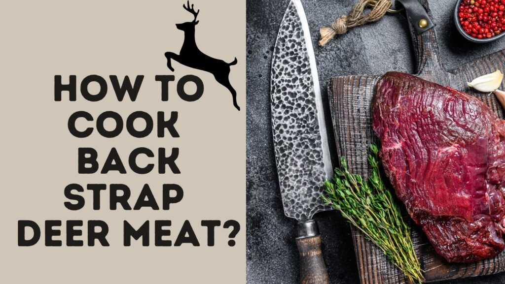 How To Cook Backstrap Deer Meat?